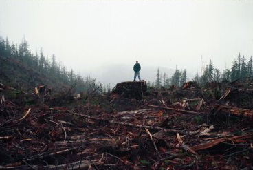 Tim standing atop a stump in the middle of a large clearcut in Vancouver Island, British Columbia.